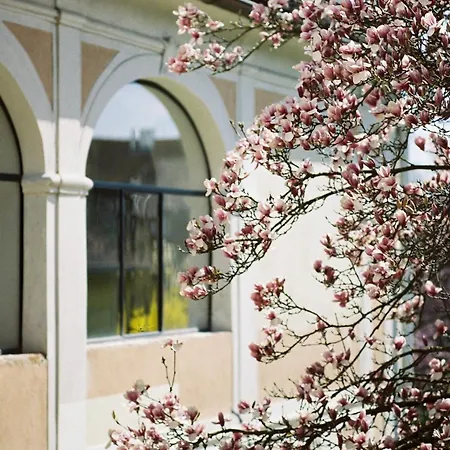 Der Pfarrhof Hartberg