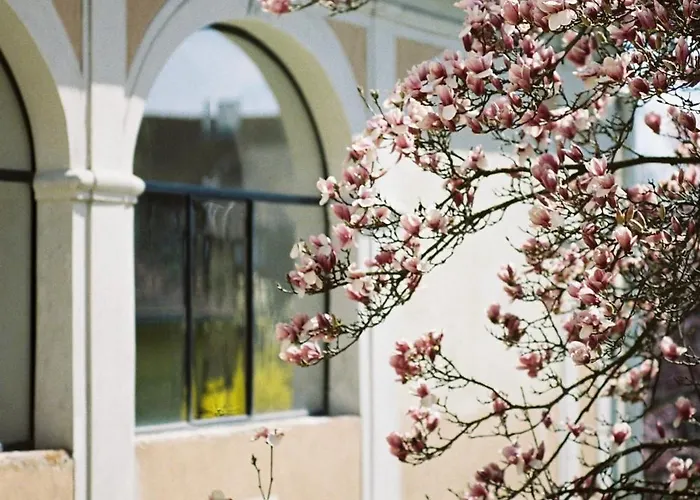 Der Pfarrhof Hartberg